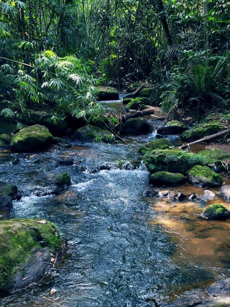 Pousada Sitio Das Pedras Домингос Мартинс Екстериор снимка